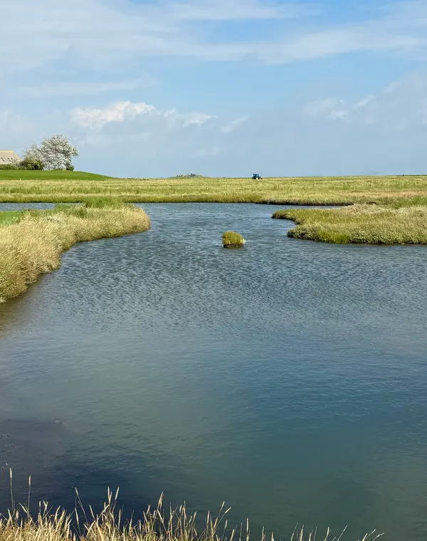 A still creek winding through green salt marsh under a clear sky.