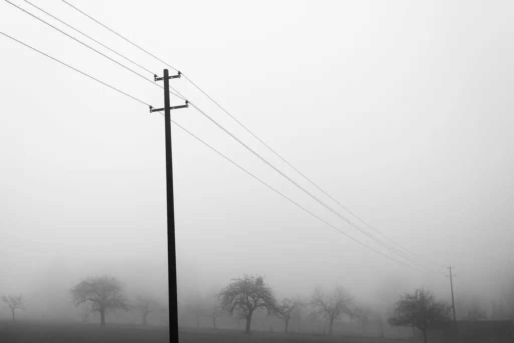 Telegraph poles and bare trees fading into thick fog over an empty field.